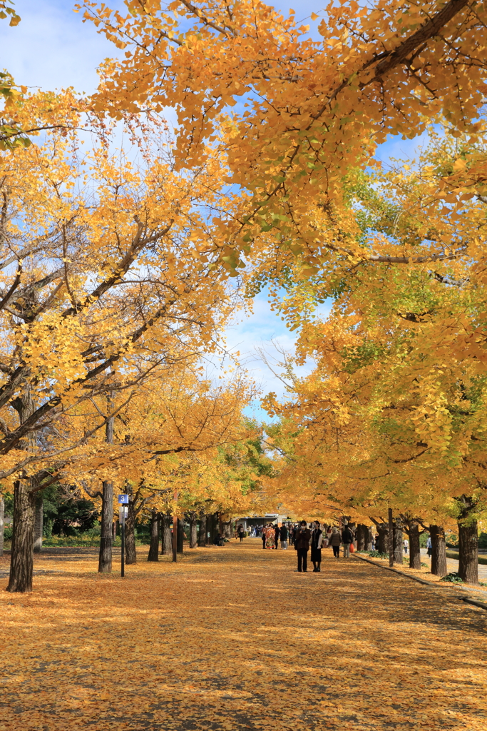 昭和記念公園3