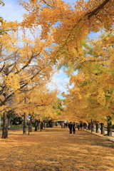 昭和記念公園3