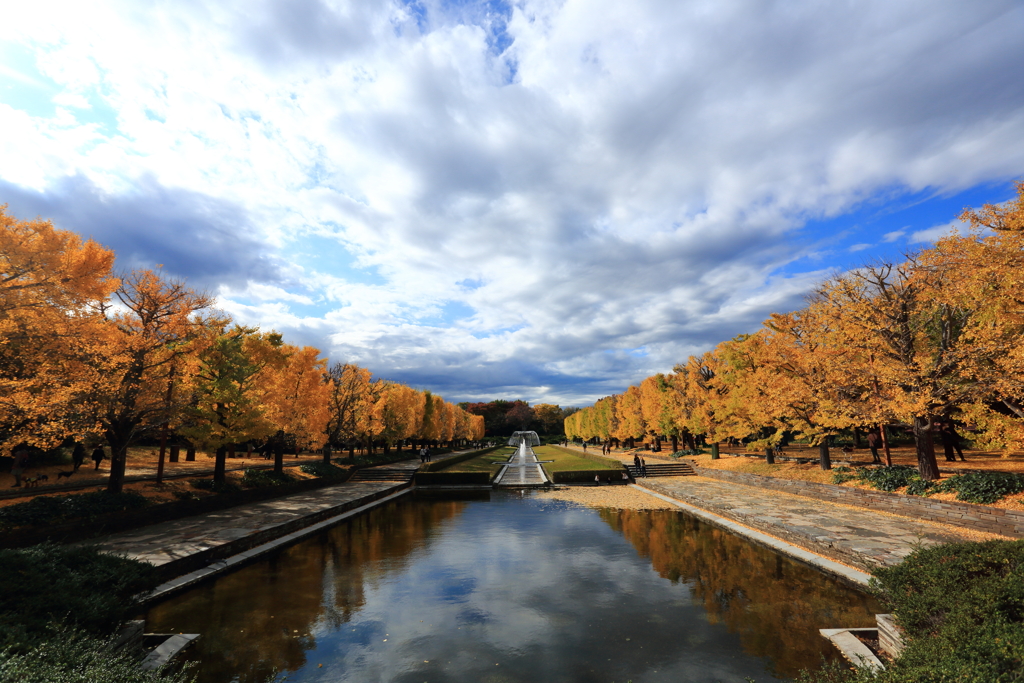 昭和記念公園1