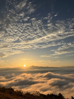 遠野の雲海