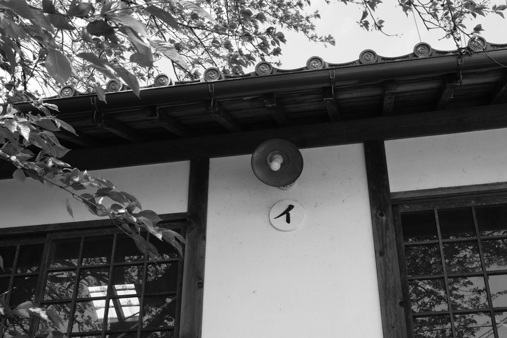 謎の文字