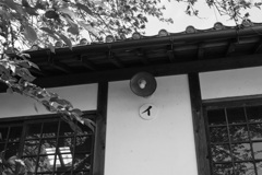 謎の文字