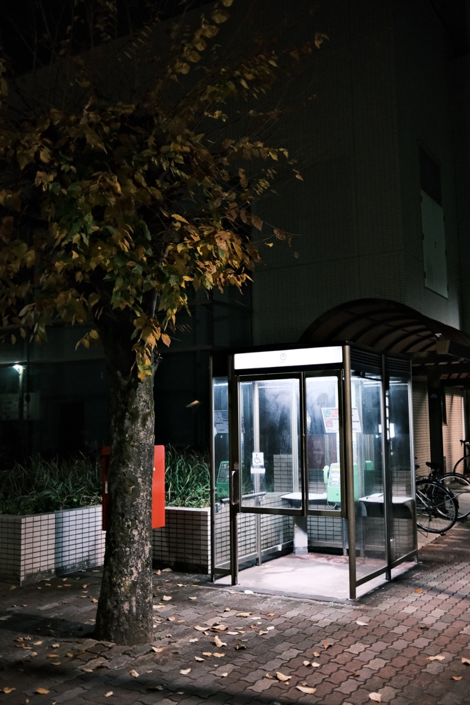夜散歩スナップ①