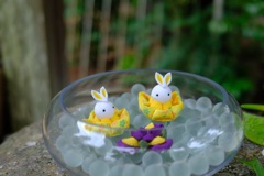 とある花手水②