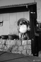 信楽散歩① たぬき