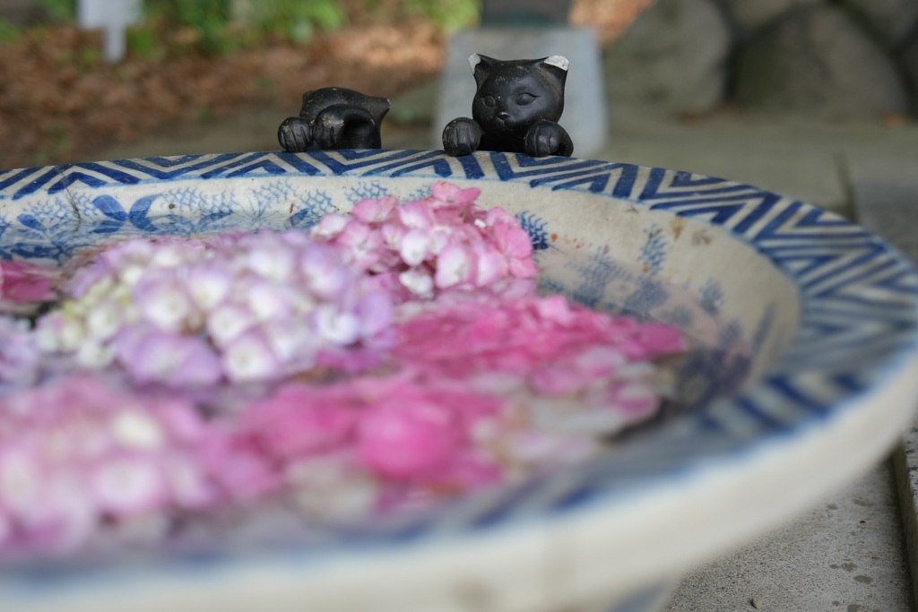 とある花手水にて