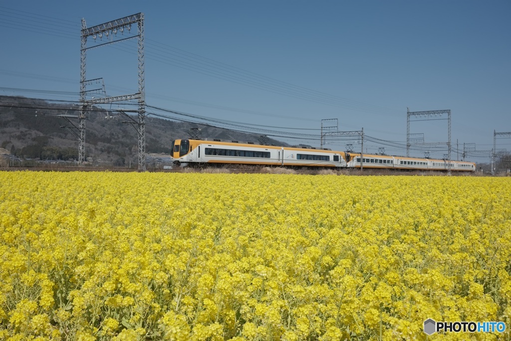 菜の花&鉄道