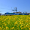 鉄道と菜の花