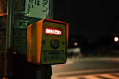 夜散歩スナップ③
