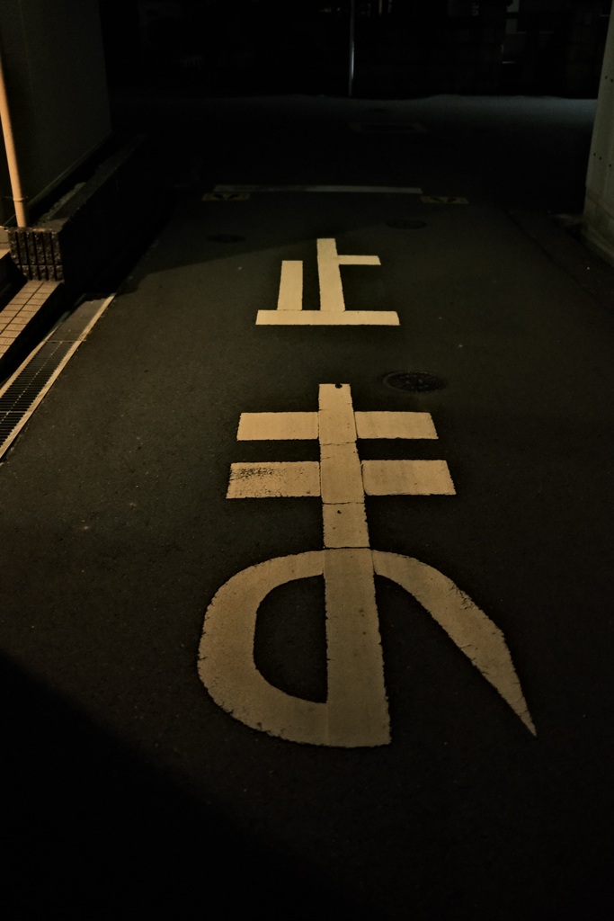 夜散歩スナップ④