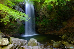滝と緑②