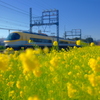鉄道と菜の花②