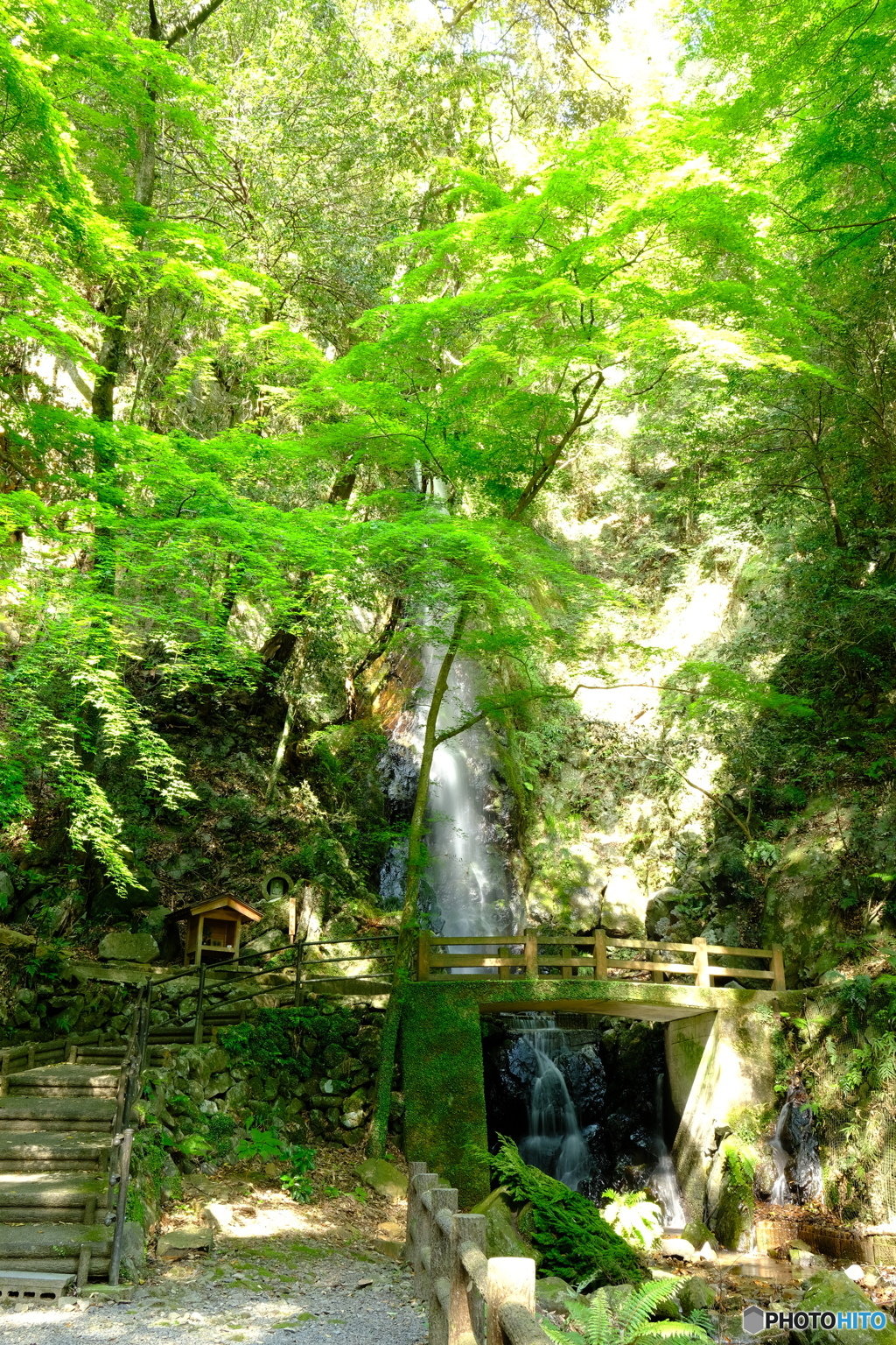 東林寺　白滝