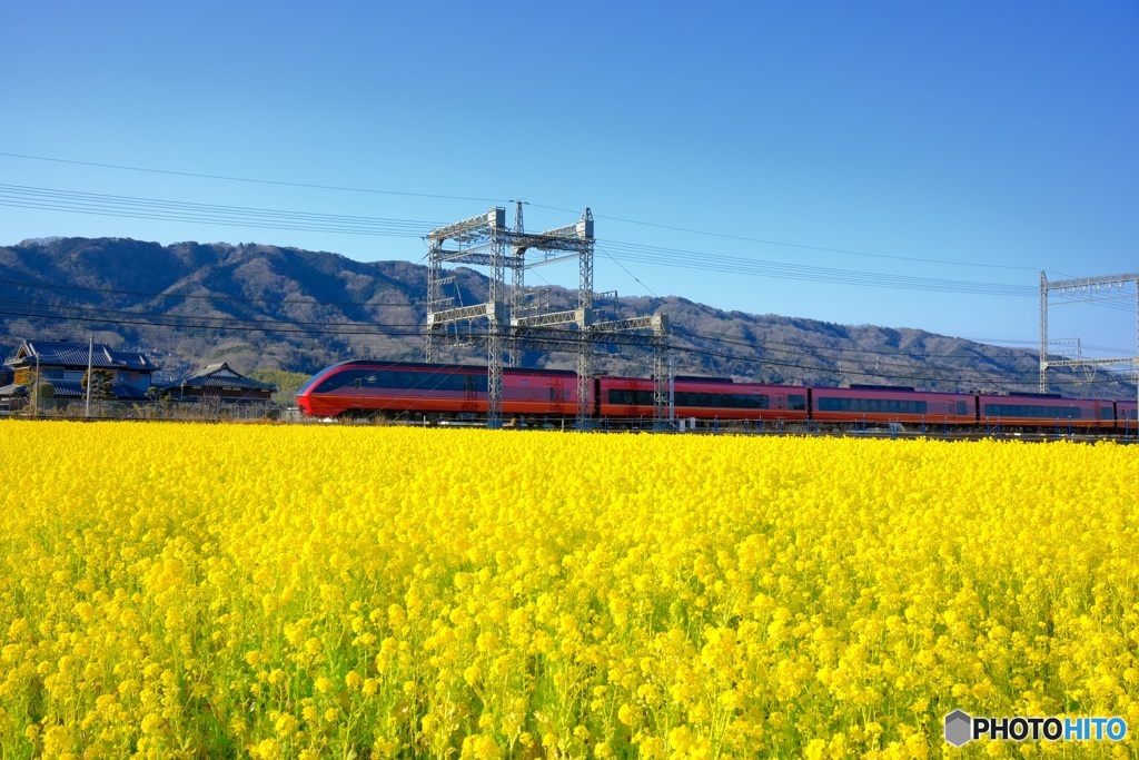 菜の花&鉄道