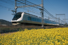 菜の花と鉄道