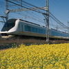 菜の花と鉄道