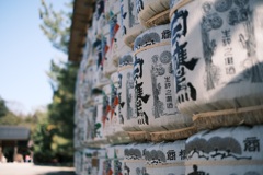 とある神社で^ ^