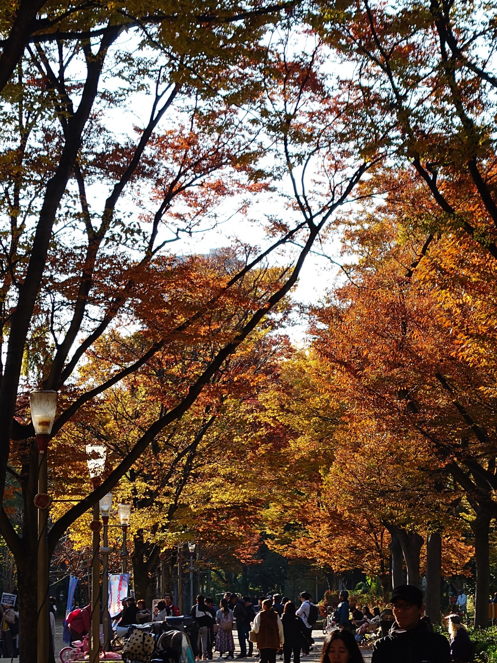 靭公園