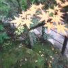 永観堂①