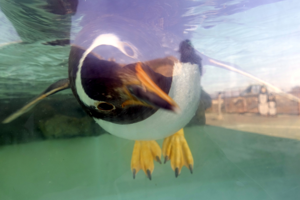 小樽水族館