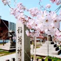 土佐稲荷神社