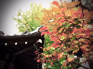 西教寺