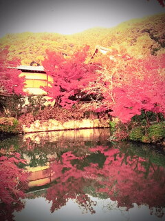 永観堂②