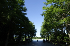 長居公園①