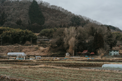 世界の片隅
