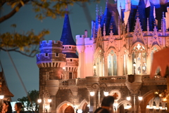 東京ディズニーランド
