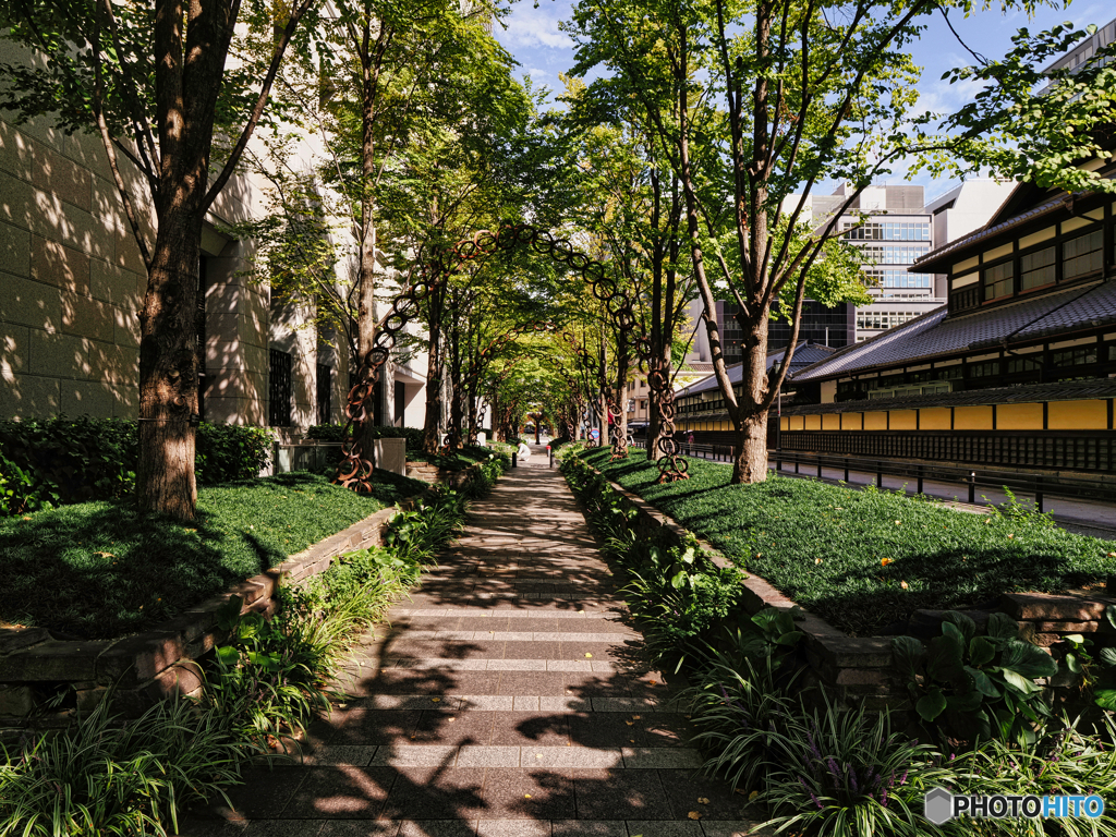 都心の緑陰