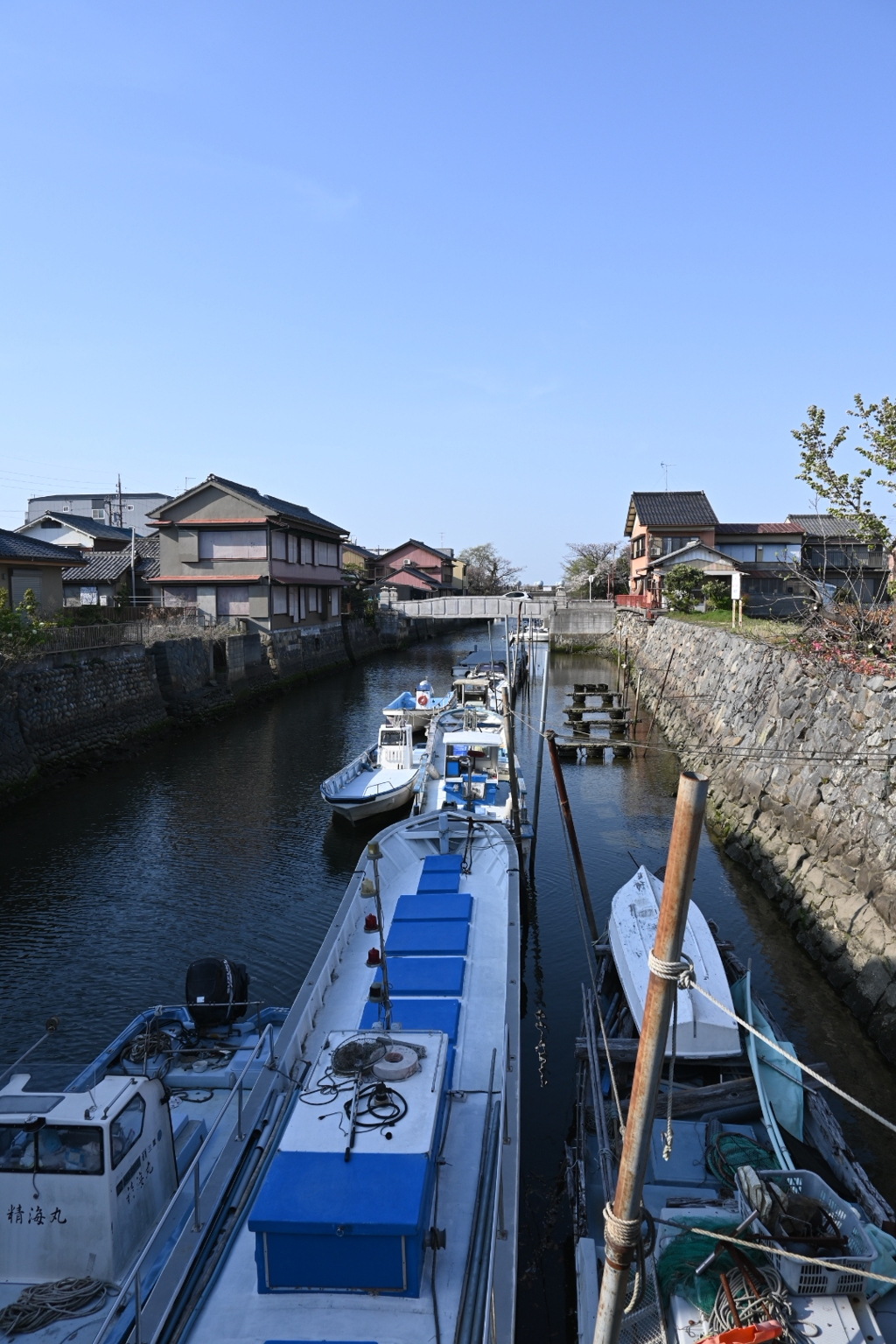 橋の上から