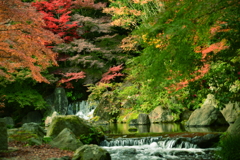 庭園と滝