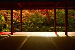 和室と紅葉
