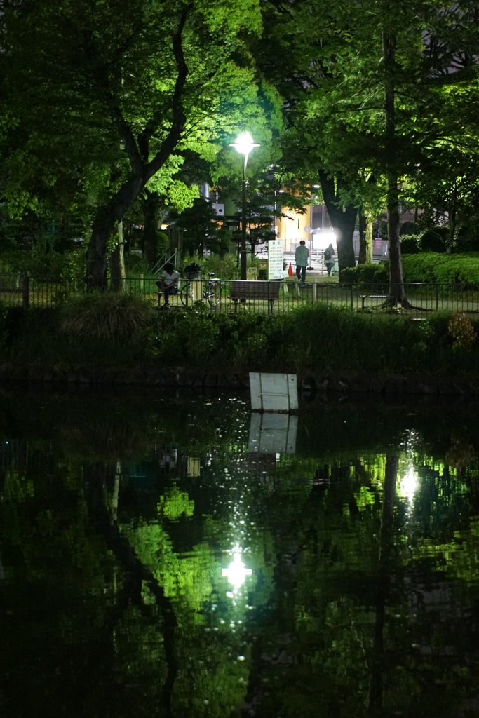 夜の公園