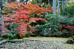 筑波山神社