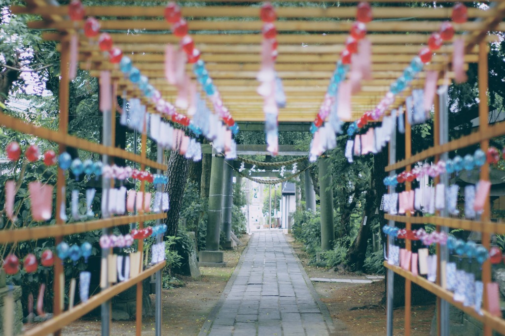 夏…