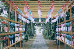夏…