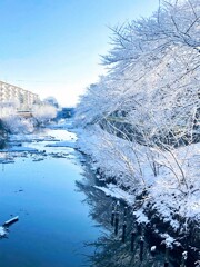 初雪