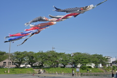 うとうざかいけ