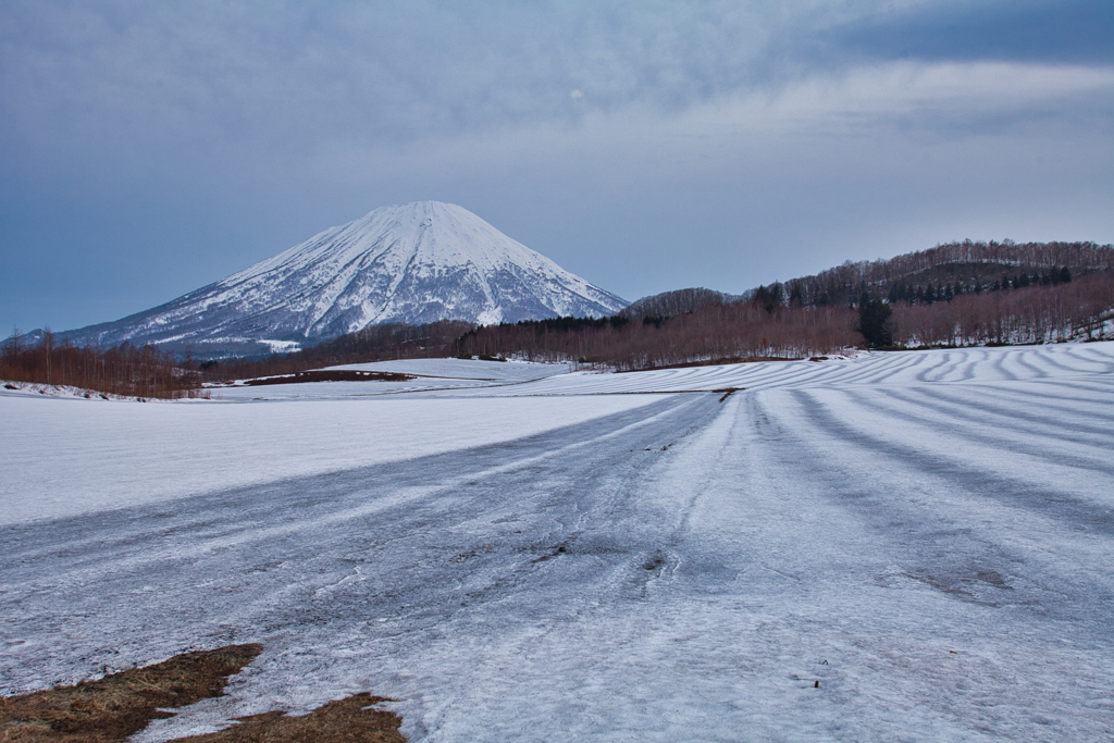雪解けの頃