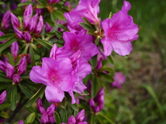 077DA78C-4034-45CC-AB36-A16D15E28886