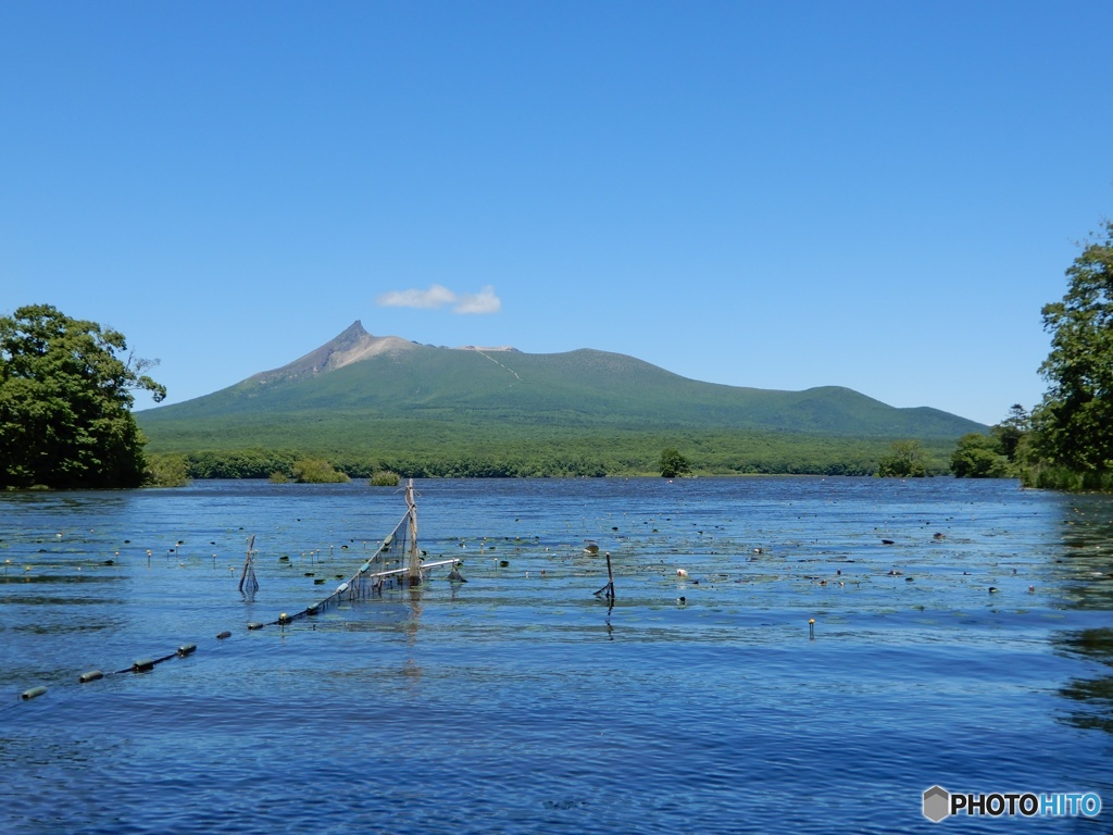 初夏の北海道大沼公園