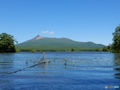 初夏の北海道大沼公園