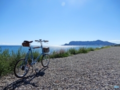 海を見たくて