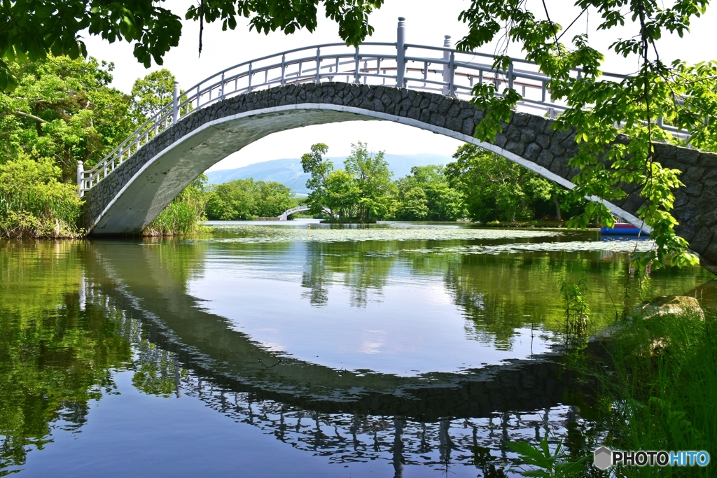 湖月橋に初夏訪れる