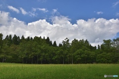 八郎沼公園散策10