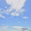 夏の思い出