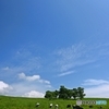 初夏の空
