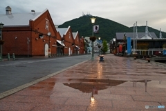 雨上がりの朝